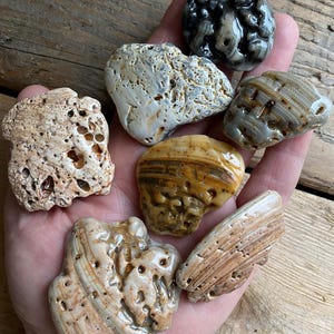 以下が含まれることがあります： 茶色、白、灰色、黒など、さまざまな模様と色を持つ6つの瑪瑙の石のコレクション。石は滑らかで磨かれており、自然で有機的な外観をしています。