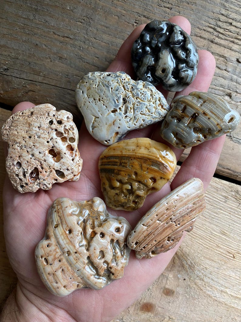 以下が含まれることがあります： 茶色、白、灰色、黒など、さまざまな模様と色を持つ6つの瑪瑙の石のコレクション。石は滑らかで磨かれており、自然で有機的な外観をしています。