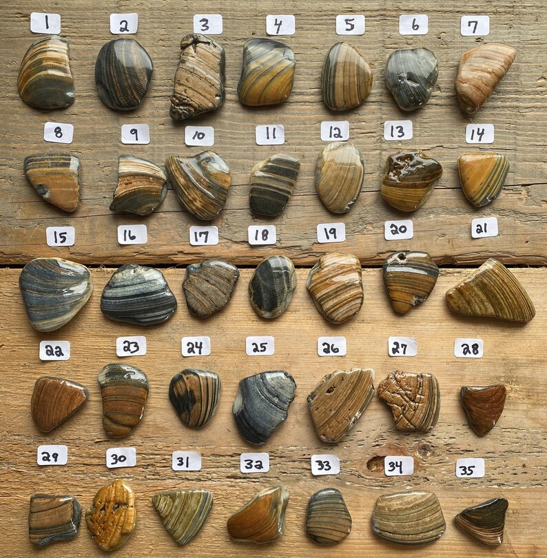 K&ouml;nnte beinhalten: Eine Sammlung von f&uuml;nfunddrei&szlig;ig polierten Steinen mit verschiedenen Farben und Mustern, darunter Streifen und Wirbel. Die Steine sind auf einer Holzoberfl&auml;che angeordnet, jede mit einer Nummer von 1 bis 35 versehen. Die Steine variieren in Gr&ouml;&szlig;e und Form, mit Farben von Braun bis Grau.