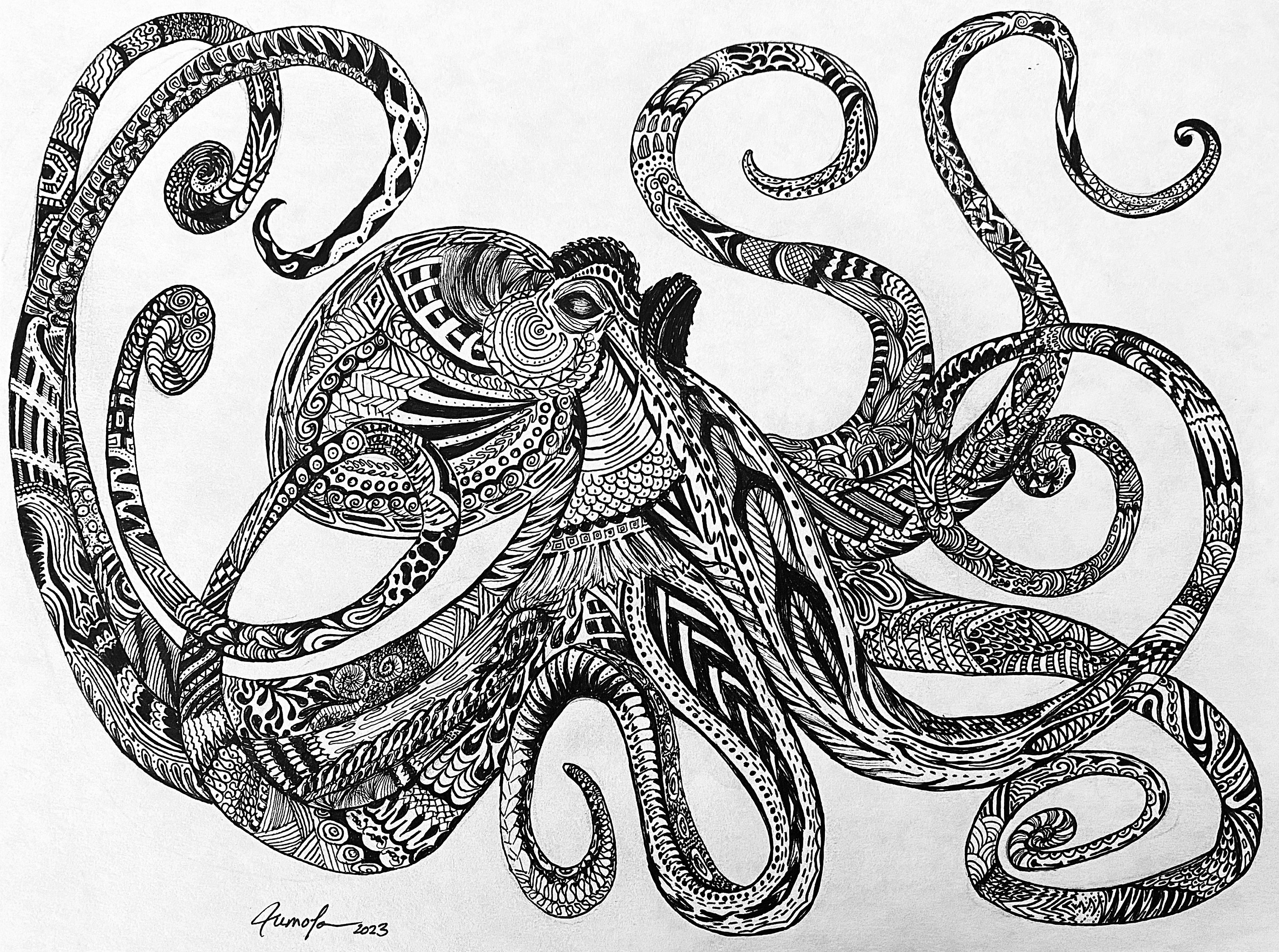 タコ - アート - プリント - インク - 白黒 - ペンアート - ゼン