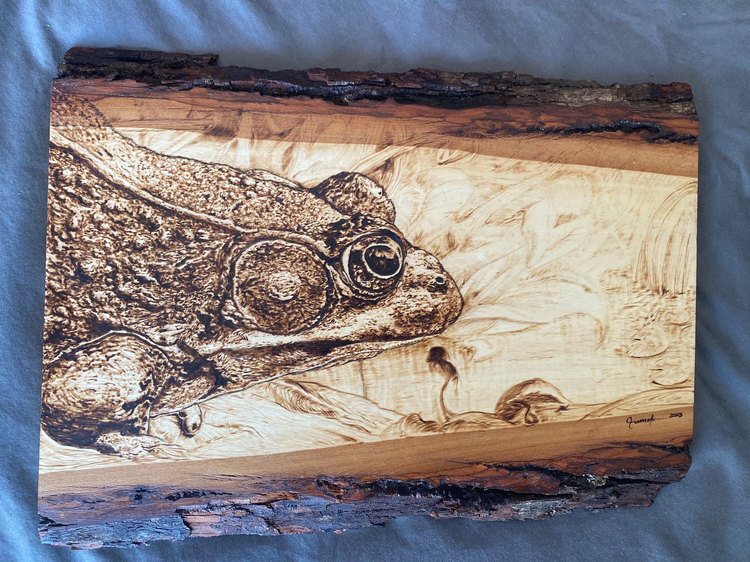 Frog - Art - Wall Hanging - Wood Burning - Pyrography - Wood Working ...