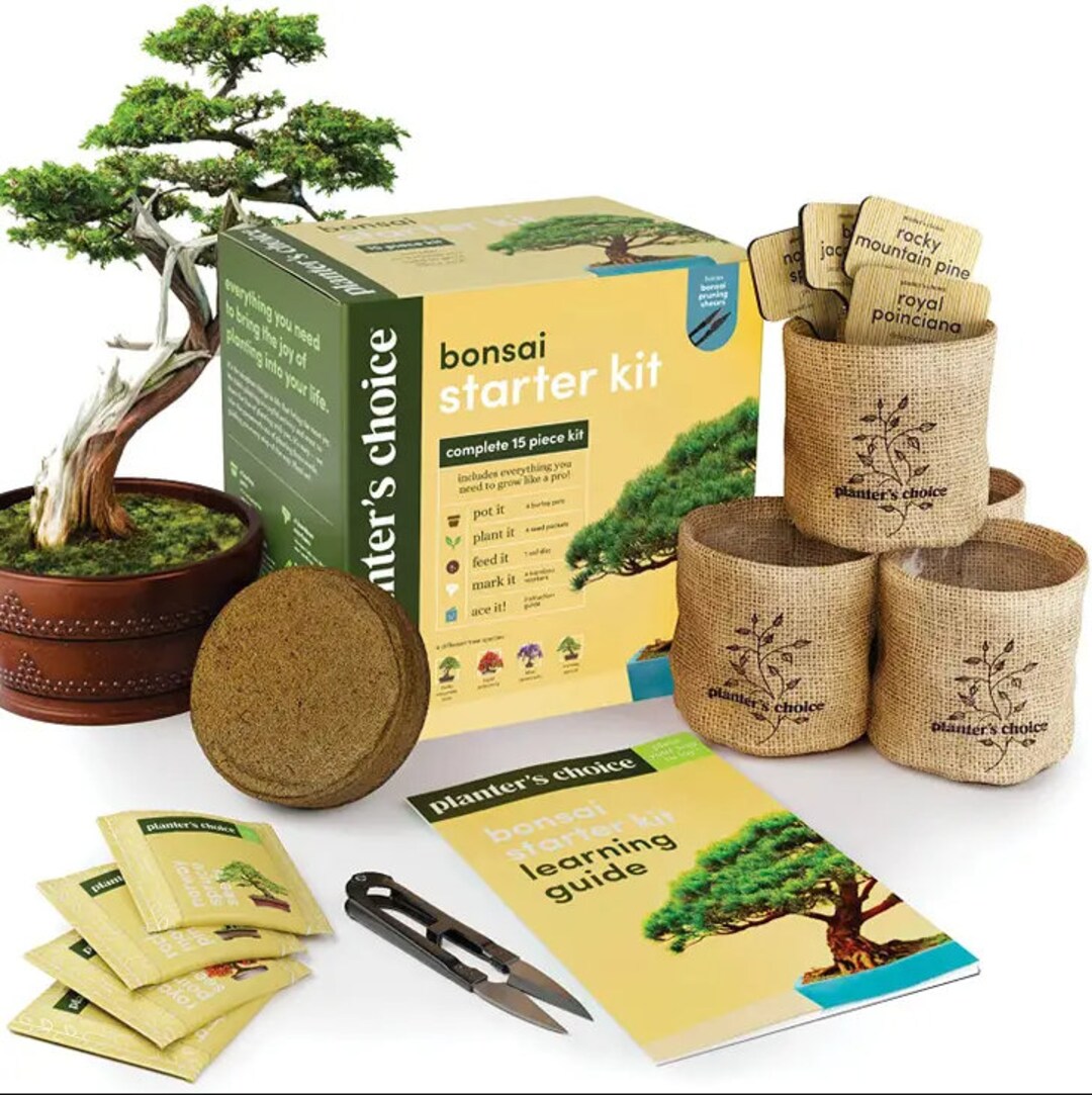 Bonsai Starter Kit Indoor Plant Kit Etsy