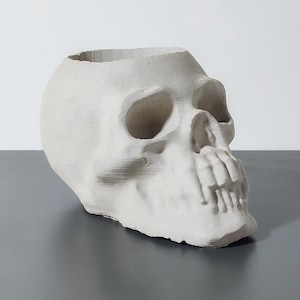 Skull Bust Concrete Planter – Handmade Mini Succulent Pot for Modern Home & Office Decor – Unique Artistic Head Planter