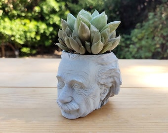 Einstein Concrete Planter, Plant Pot, Plant Decor, Concrete Flower Pot, Handmade Concrete Home Decor