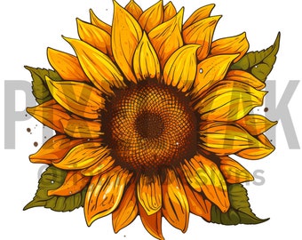 Sunflower Background Png Sublimation Design,Sunflower Png, Hand Drawn Sunflower Png, Sunflower Clipart Png, Sunflower Png Digital, Retro