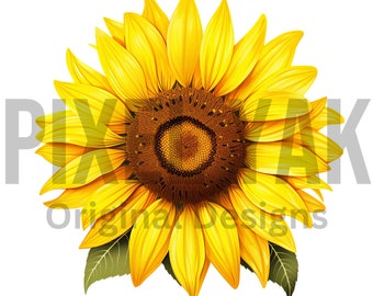 Sunflower Background Png Sublimation Design,Sunflower Png, Hand Drawn Sunflower Png, Sunflower Clipart Png, Sunflower Png Digital, Retro