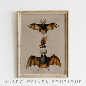 Gothic Bat Chart | Moody Vampire Victorian Dark Cottagecore Printable Wall Art | Dark Academia Aesthetic | Halloween Art | 19th Century
