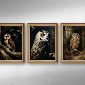 Dark Academia Wall Art - Dark Academia Art - Antique Owl Painting - Set Of 3 Wall Art - Vintage Animal Wall Art - Owl Wall Art