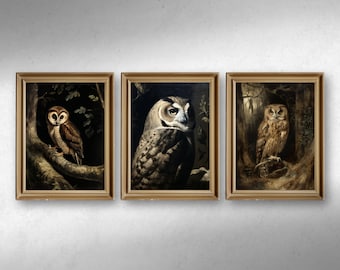 Peintures anciennes de hibou - Dark Academia Art, lot de 3 (téléchargement numérique)