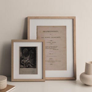 Pôster de Frankenstein - Coisas Efêmeras Góticas - Mary Shelly - Arte de Parede Bookish - Decoração Gótica - Impressão de Frankenstein - Pôsteres de livros - Presente para amantes de livros
