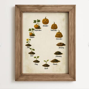 Levenscyclus pompoen: van spruitje tot sterke drank (vintage halloweenprint, 8,5 x 11 inch)