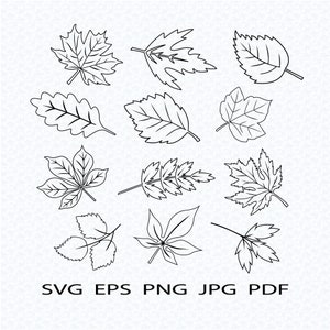 Leaf cut file bundle, Fall leaf outlines, Leaf SVG Cutting Files, Leaf Silhouette SVG, Leaf cut file bundle, Autumn Leaf Clipart