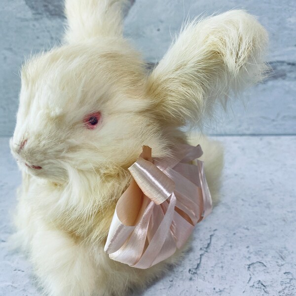 Real Rabbit - Etsy