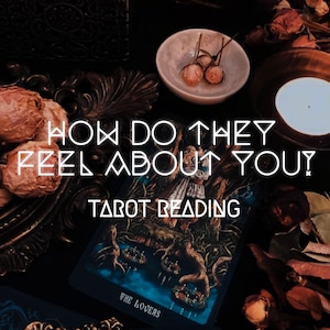 How does he (she) feel about you? Same day. Tarot reading. Love reading. Love forecast. Psychic prediction. Soulmate reading. Relationship