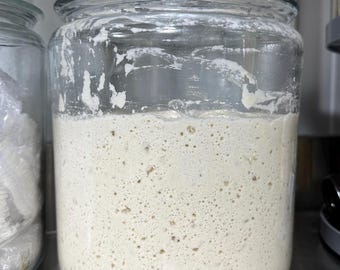 Dried Sourdough Starter, Dehydrated  Starter, Two 10 gram packs w/Recipes & Instructions, Sour dough kit, Gift for Baker, same day shipping