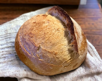 Dehydrated Sourdough Starter,  10 grams with Recipes & Instructions, Sour dough kit, Same day shipping Gift for Baker.
