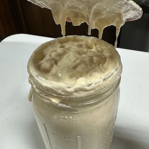May include: A glass jar filled with a light brown, bubbly sourdough starter. The starter is rising and overflowing from the jar. A person is holding a lid over the jar, which is also covered in the starter.