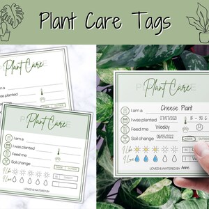 Tarjeta de instrucciones de cuidado de plantas, etiquetas de plantas imprimibles, tarjeta de cuidado DIGITAL, regalo de cuidador de plantas, planificador de plantas, guía, etiquetas de jardín de plantas de interior