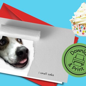 Dog Happy Birthday card 5x7 inch