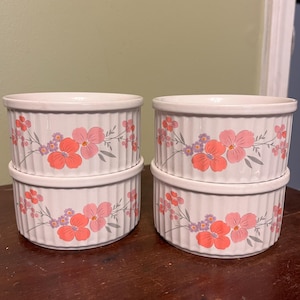 Vintage Galleria Collection Stoneware Ramekins pink and orange floral pattern  1985 set of 4