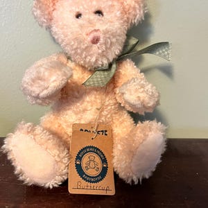 以下が含まれることがあります： 首に緑のリボンを巻いたピンクのぬいぐるみクマ。クマは木製の表面に座っており、「Boyds Bears & Friends」と「Baby Boyds Buttercup」と書かれたタグが付いています。