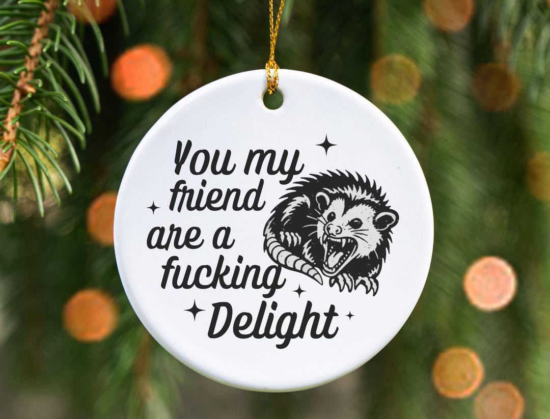 Funny Possum Friend or Coworker Ornament, Sarcastic 2025 Coworker ...