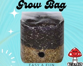 All-in-One Mushroom Grow Bag | Manure-Loving Mushroom Cultivation | Easy for Beginners | Includes Gloves & Alcohol Swabs | Just add Spores!