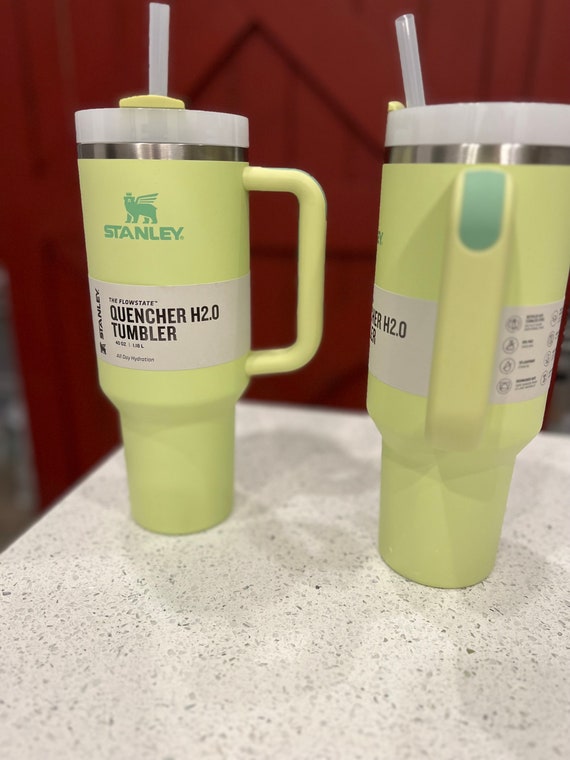 Stanley Light Green Tumbler Quencher 40 oz. Flow State H2.0 With Handle &  Straw