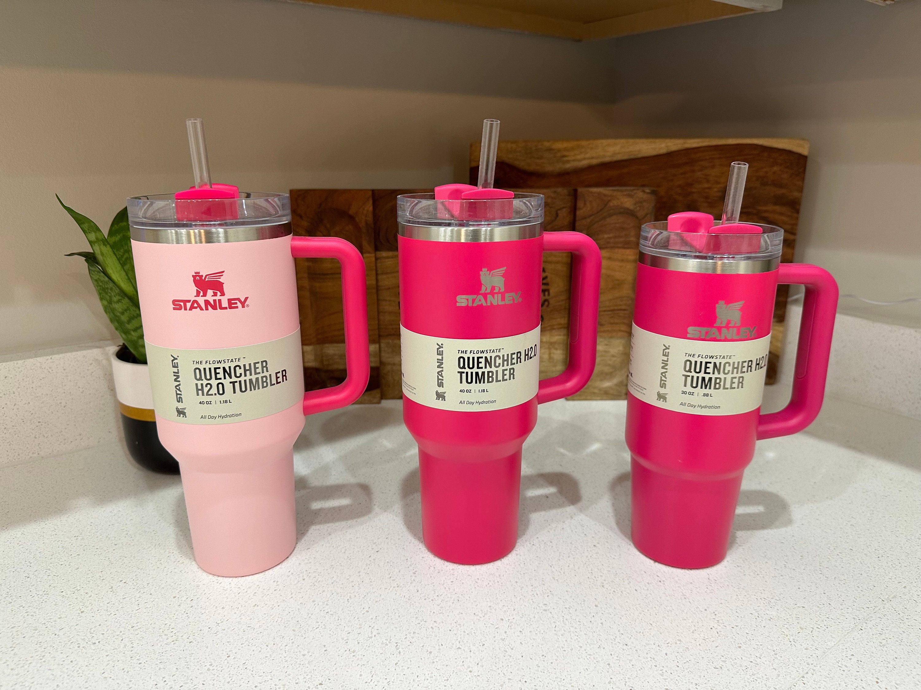 STANLEY Stanley Quencher H2.0 FlowState 40 oz Tumbler - Pink  Parade: Tumblers & Water Glasses