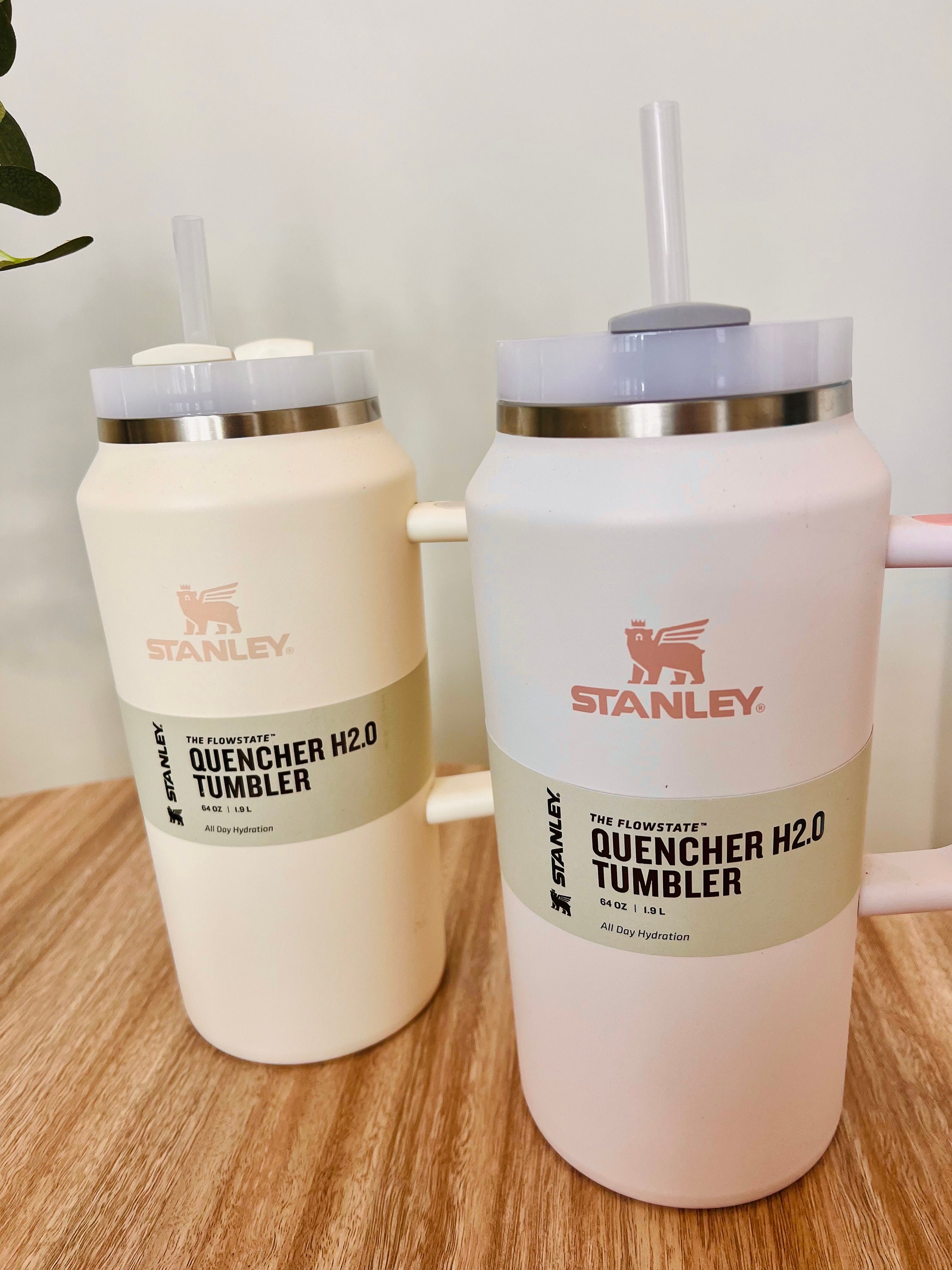 ⛄️Christmas Gift Ideas⛄️ Stanley Quencher Tumbler 40oz Price