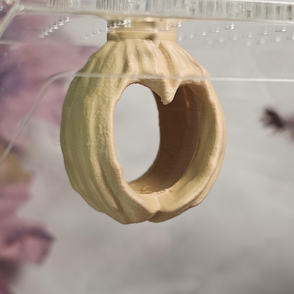 3D gedruckte magnetische Walnuss springende Spinne Fell