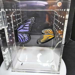 3D printed Butterfly Wing Jumping Spider Small Enclosure Platform