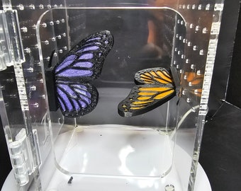 3D printed Butterfly Wing Jumping Spider Small Enclosure Platform