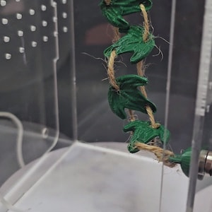 May include: A clear plastic container with a brown wooden platform and a green leafy vine hanging from it. The vine is made of plastic and is attached to a string.