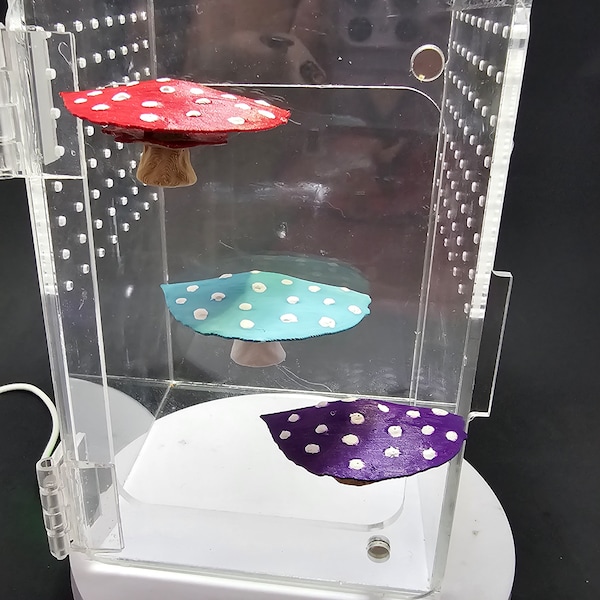 3D printed Magnetic Flat Top Amanita Mushroom Fungus Shelf Spider Decor