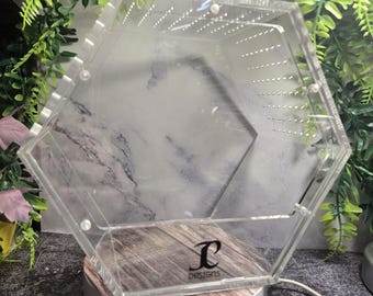 JC Designs Original Acrylic Front Open Hexagon Enclosure designed for Jumping Spiders