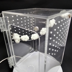 3D printed Magnetic Cloud Bridge Jumping Spider Enclosure