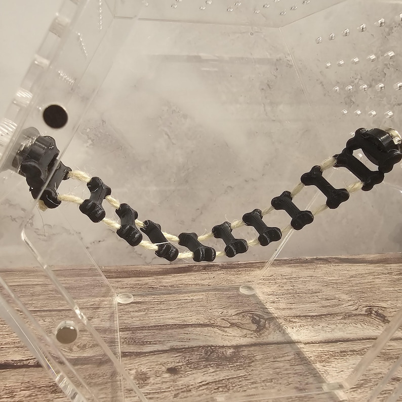 May include: A black and white bone-shaped toy hanging inside a clear plastic cage. The toy is strung together with white string.