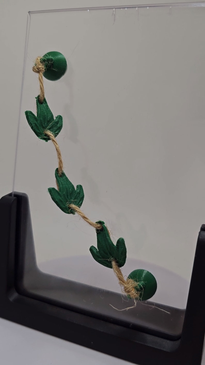 3D-utskriven magnetisk murgrönsbro med hoppspindel, skinn Ivy