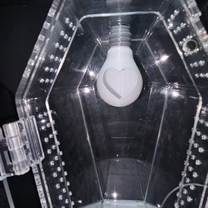 3D printed Light Bulb Jumping Spider Hide- multi-color print- no painting- single piece