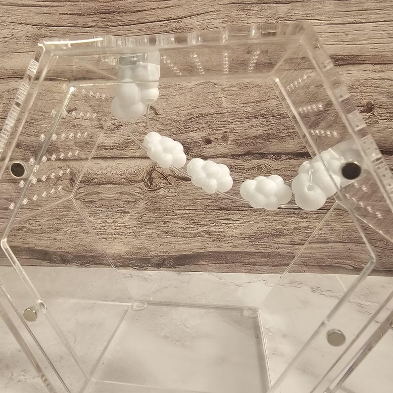 Puede incluir: Un hormiguero hexagonal de acr&iacute;lico transparente con una colonia de hormigas blancas en su interior. El hormiguero tiene una tapa extra&iacute;ble y una base transparente.