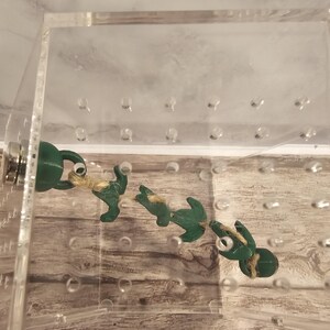3D-utskriven magnetisk murgrönsbro med hoppspindel, skinn bild 8
