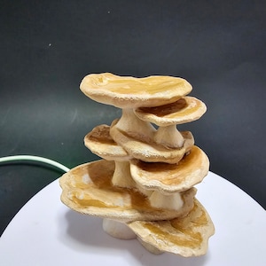 May include: A stack of five light brown mushroom-shaped ceramic pieces, each with a slightly different shape and size, arranged in a tiered tower.