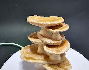 3D printed Oyster Fungus Multi-Level Jumping Spider Hide/Platform/Base