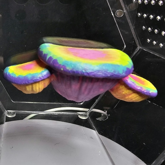 3D printed Magnetic Triple Oyster Fungus Platform Spider Hide