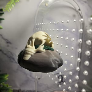 May include: A beige skull rests atop a gray, textured base with a green accent. The skull is detailed with visible eye sockets and nasal cavity. The object is set against a clear, perforated background with a marble-like pattern.