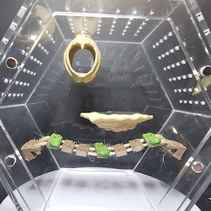 3D printed Cute Hide, Bridge, Platform Jumping Spider Bundle