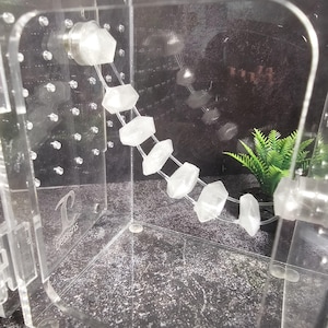 3D printed Magnetic Crystal Bridge Jumping Spider Hide