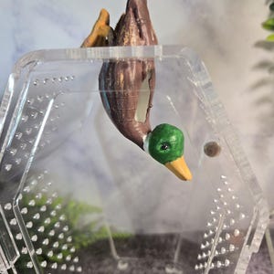 Drukowana w 3D ręcznie malowana platforma w kształcie pająka skaczącego