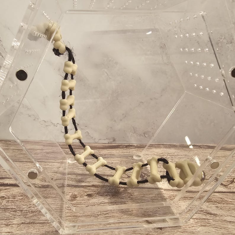 May include: A white bone-shaped chew toy for dogs, strung together with black string, inside a clear plastic hexagonal container.